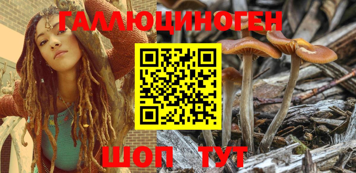 Галлюциногенные грибы Magic Shrooms  Ставрополь  Галлюциногенные грибы прущие грибы 