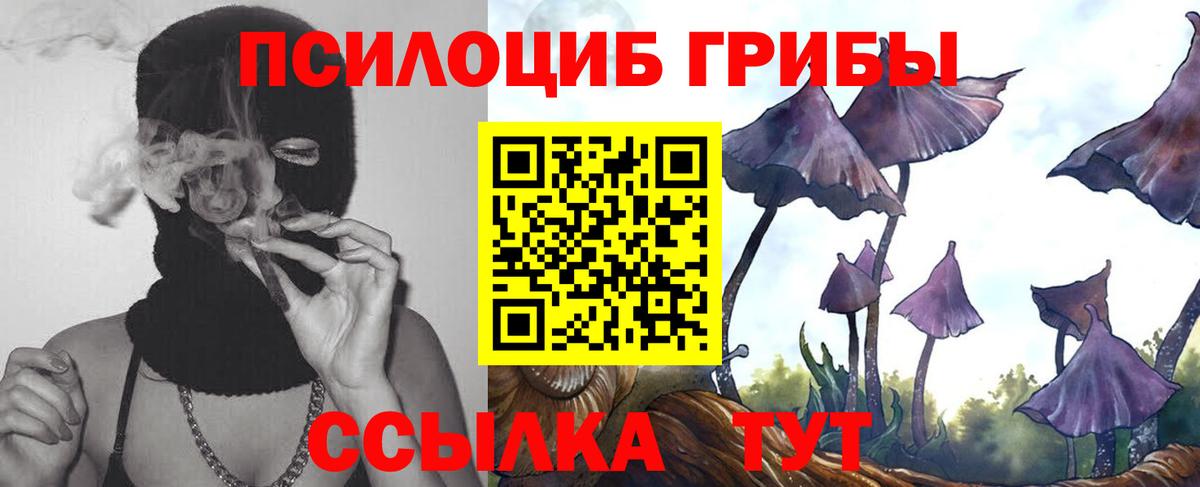 Псилоцибиновые грибы Magic Shrooms  Галлюциногенные грибы мухоморы  Ставрополь  Вход с VPN 