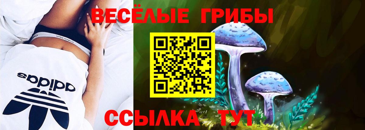 Галлюциногенные грибы мицелий Ставрополь