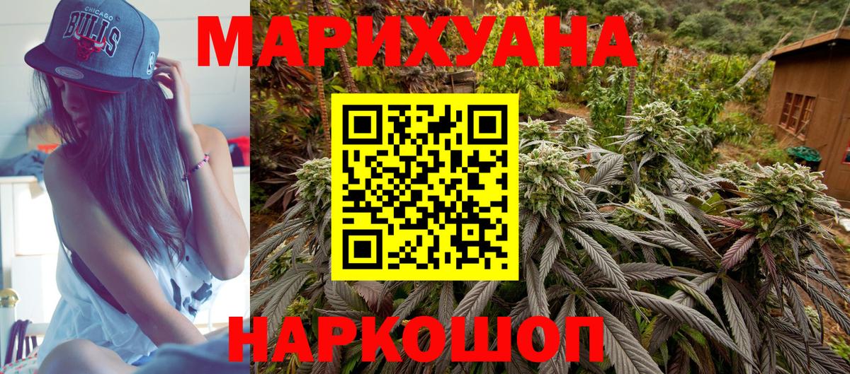 Канабис OG Kush Ставрополь